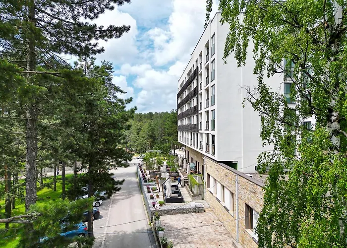 Hotel Palisad Zlatibor