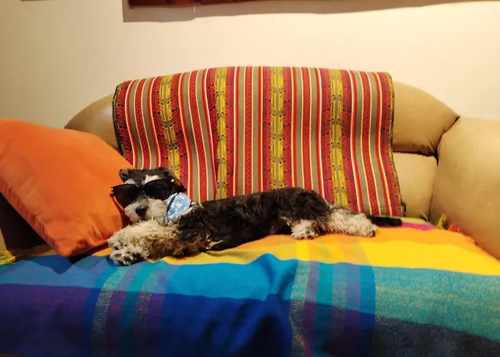 Flying Donkey Bed & Breakfast Otavalo