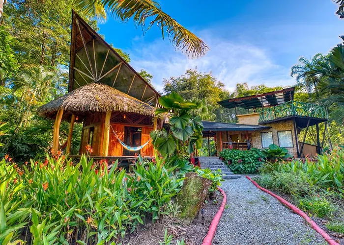 Tree House Beachfront Lodge Puerto Viejo de Talamanca