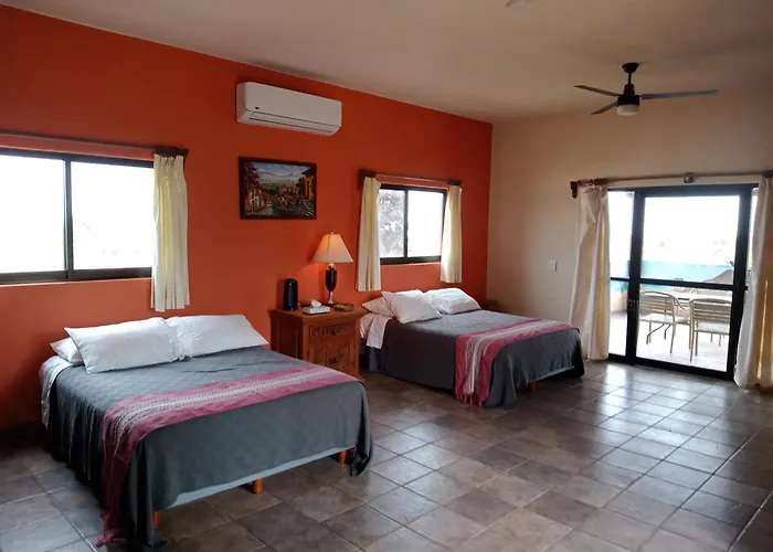 Hacienda De Palmas Bed & Breakfast La Ribera