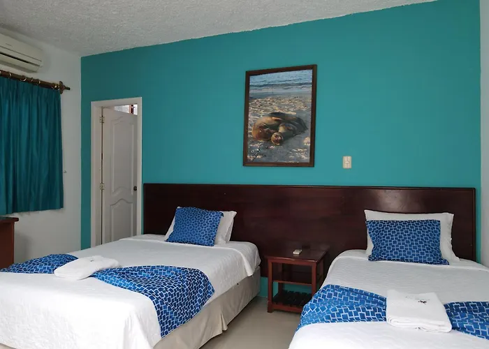 Hotel La Gran Tortuga - ᯤ Starlink Puerto Villamil