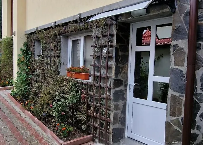 Casa Vio Apartment Busteni