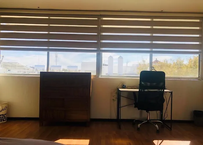 Leveli Coliving Hostel Guadalajara