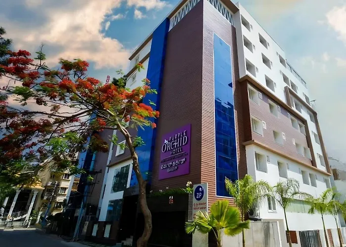 Zip By Spree Hotels Purple Orchid Whitefield Bangalore