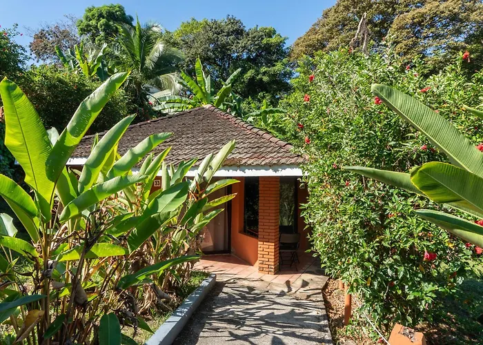 Bongo - Adults Only Hotel Manuel Antonio