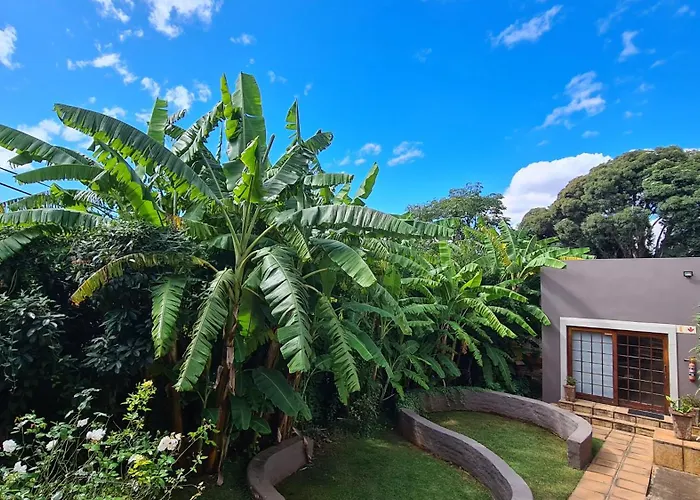 7Th Street Guesthouse Johannesburg