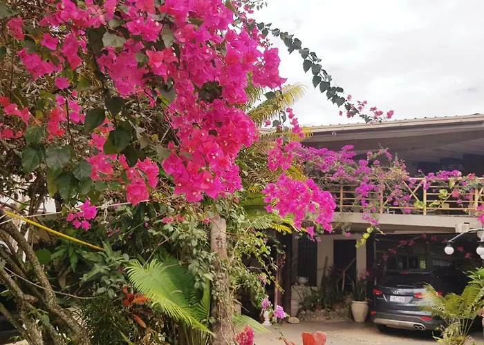 Martintar Apartment Lodge 1 Nadi
