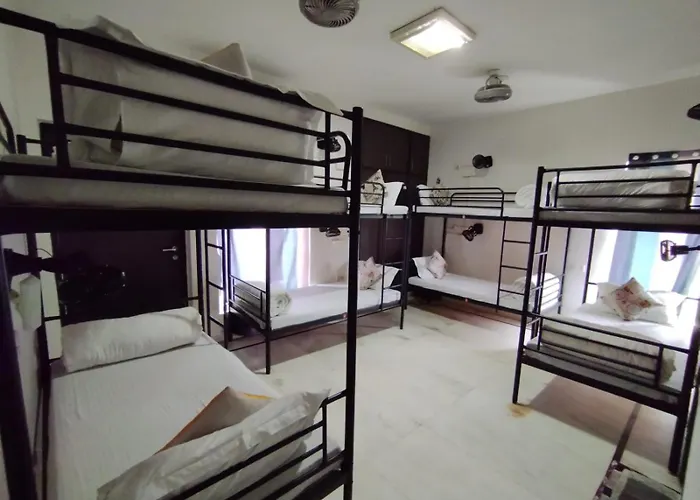 A Sleepy Fox Hostel New Delhi