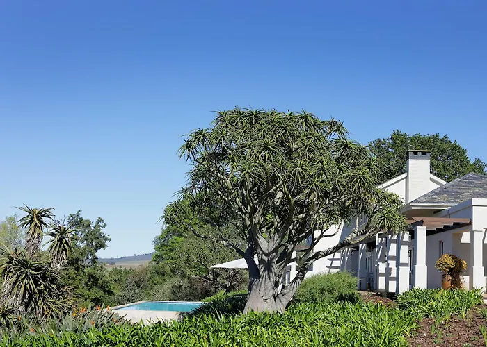 Sugarbird Manor Hotel Stellenbosch