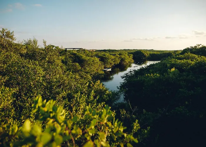 Uman Glamping & Cenote Tulum Hotel