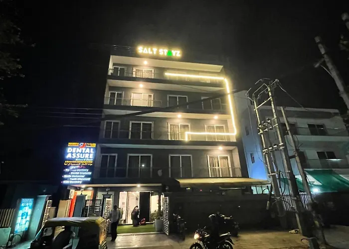 Saltstayz Sector 39 Gurgaon