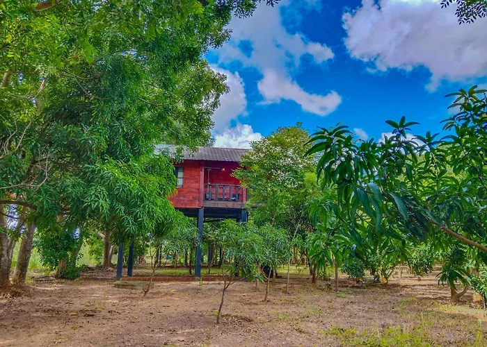 Ceylon Amigos Eco Resort Sigiriya