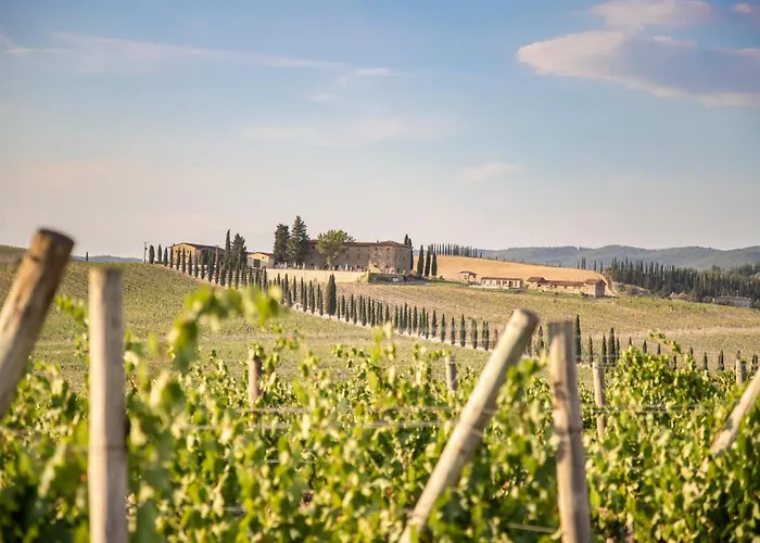 Agriturismo Casale Dello Sparviero Castellina in Chianti