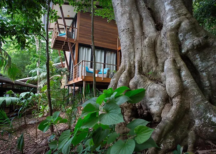The Resort At Isla Palenque Member Of The Cayuga Collection Boca Chica