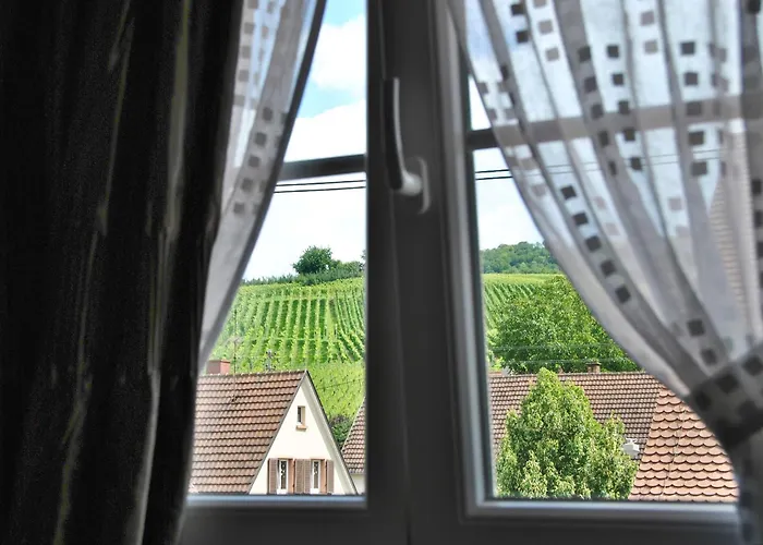 Landgasthof Rebstock Weil Am Rhein / Basel