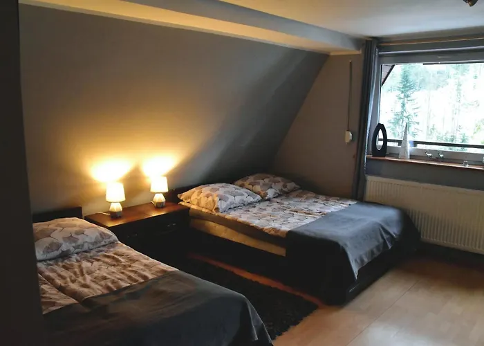Lesny Dwor Hotel Wisla
