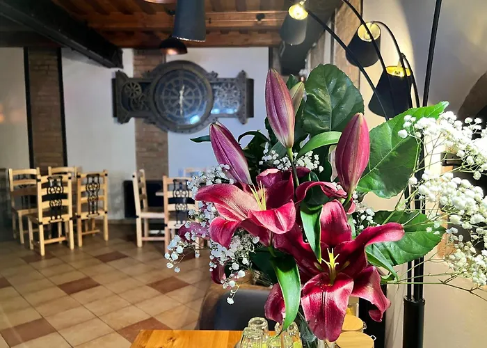 Stara Plynarna Hotel Hrensko
