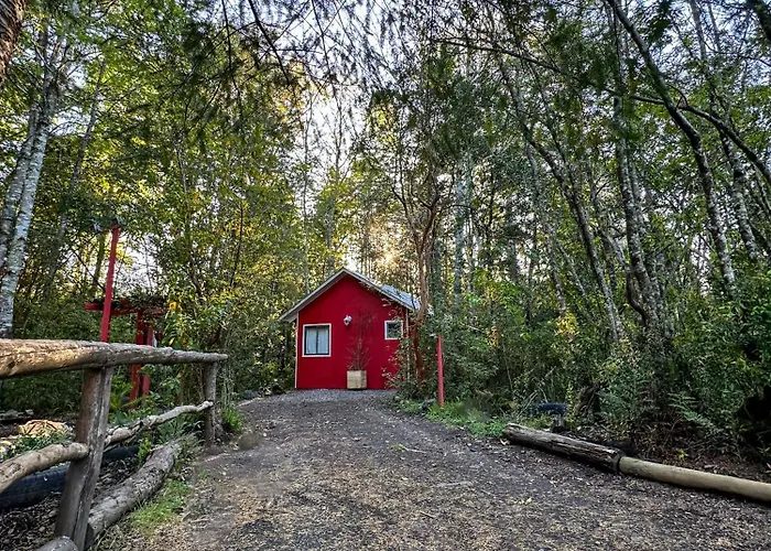 Molco Cabins Bosque Pucon