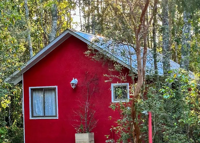 Molco Cabins Bosque Pucon