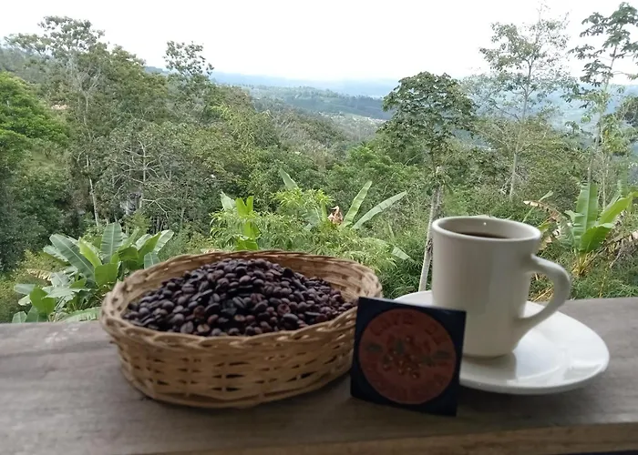 Hotel Green Mountain Turrialba