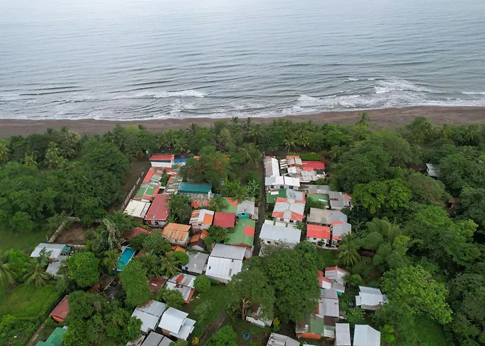 El Deseo Serendipity Tortuguero