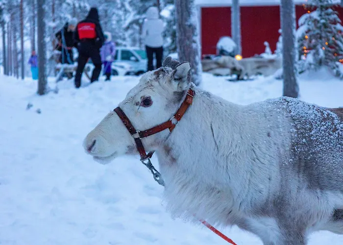 Skyfire Village Igloos Rovaniemi