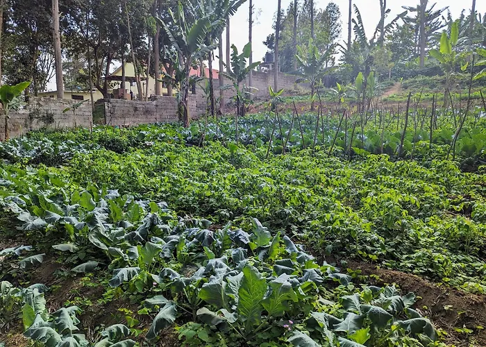 Mvuli Hotels Arusha