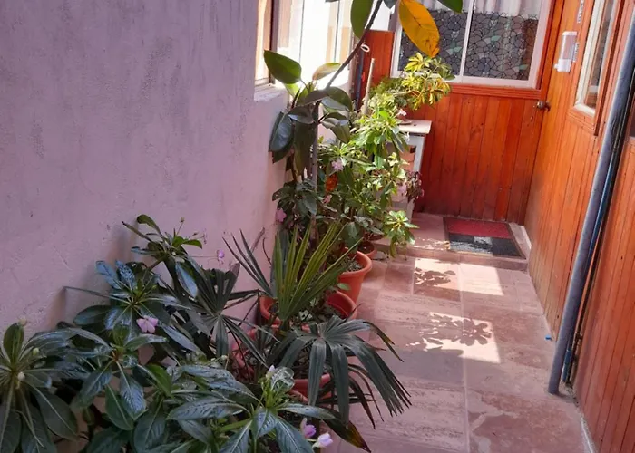 Departamentos Coguil Apartment Pichilemu