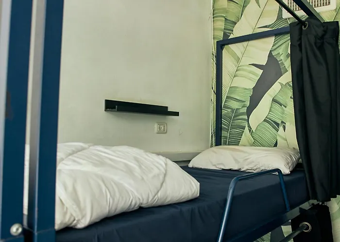 Jungle Jaffa Hostel Age 18 To 45 Tel Aviv