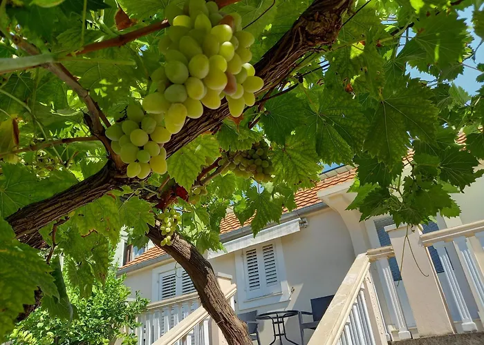 Apartman Maslovar Kotor