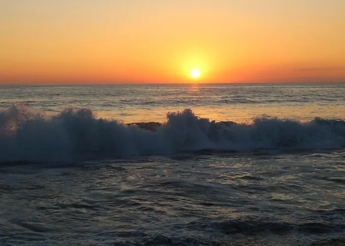 Surf Paradise Zicatela Hotel Puerto Escondido 