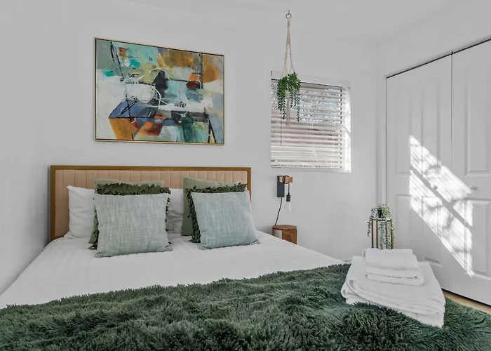 Modern 4Br South Tampa Home Yard Near The Bay