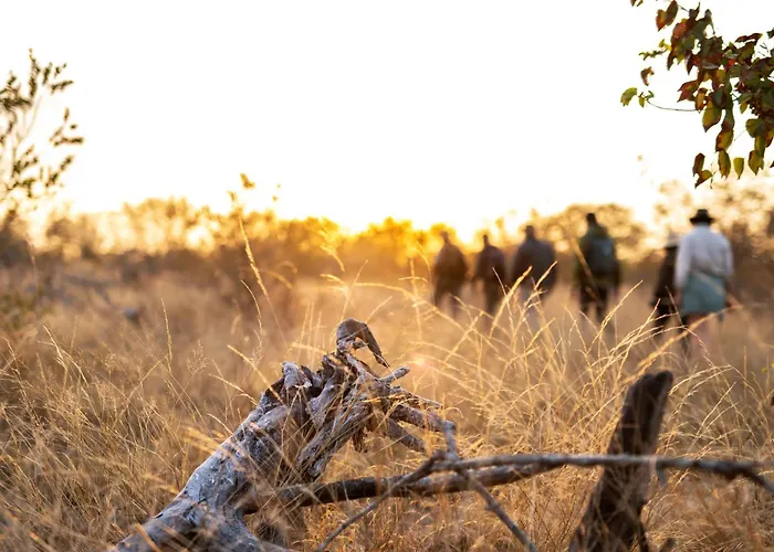 Simbavati Trails Camp Villa Timbavati Game Reserve