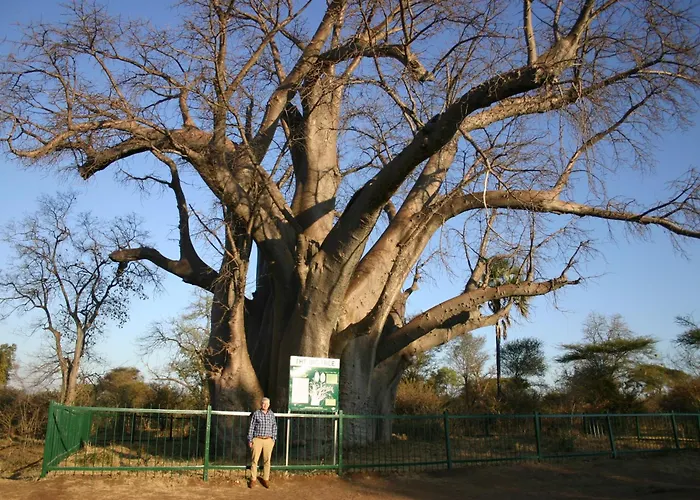 Zambezi Family Lodge - Elephant Room Victoria Falls