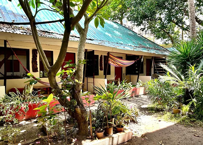 Lazy Dog Bed & Breakfast Balabag 