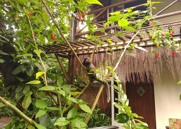 Pousada Fruta Pao Barra Grande 