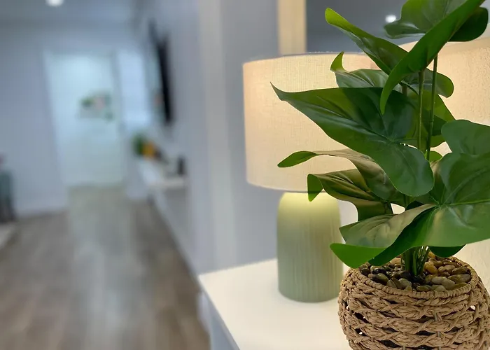Chic & Stylish South Tampa 5 Min From Bay Villa