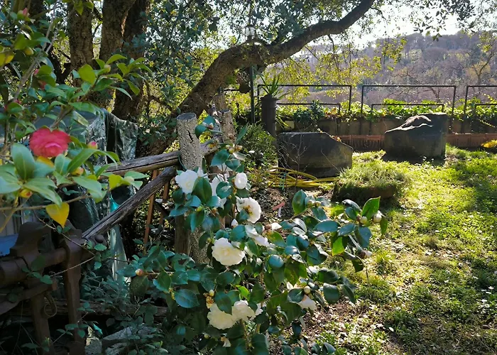 Cassia, Luminoso Open Space Nel Verde , Casa Dei Leoni Rome