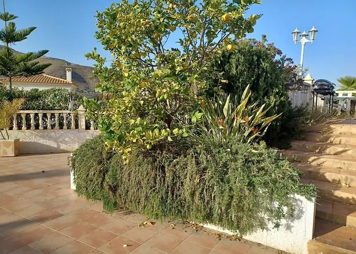 Casa Los Olivos, Villa With A Pool Alicante