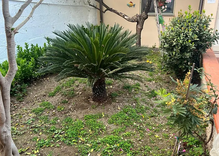 Nel Giardino Di Nunziatina Apartment Syracuse