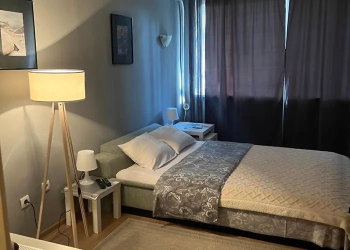 Grey Apartment Belgrade