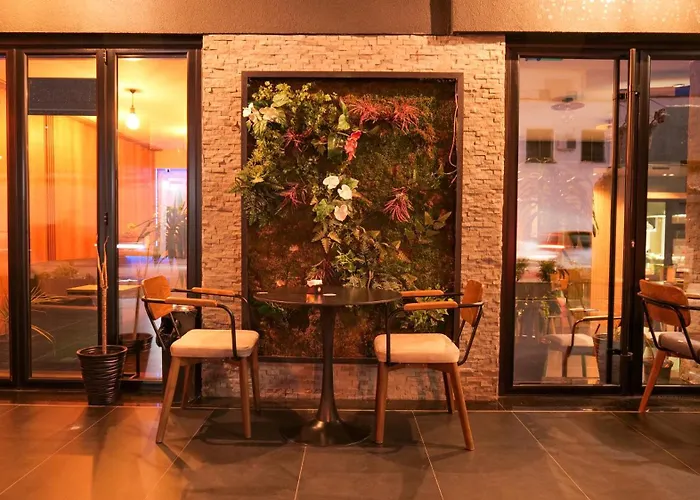 313 Villa City Center Tirana