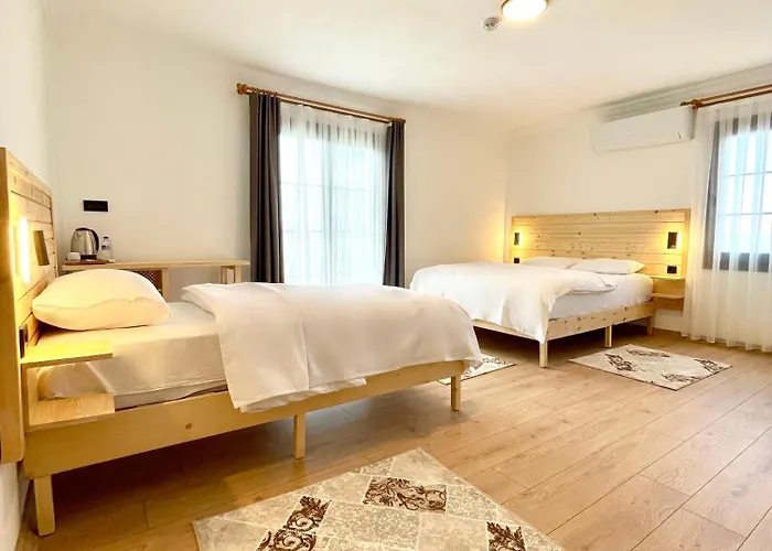 Dalaman Airport Alibaba Hotel