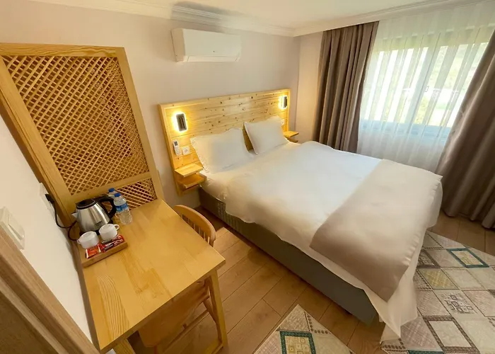 Dalaman Airport Alibaba Hotel