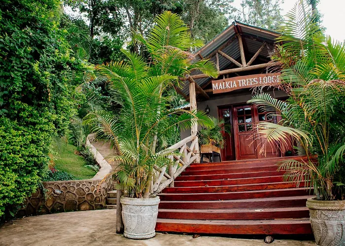 Malkia Trees Lodge Arusha