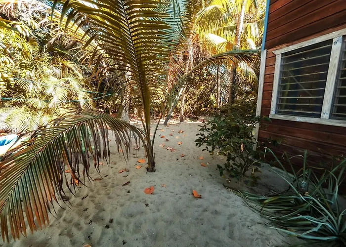Anda Di Hows Hostel Placencia