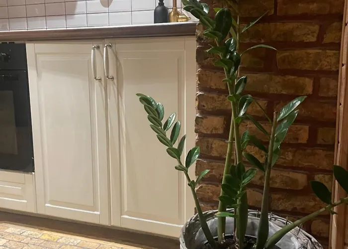 Stebuklas Coliving Vilnius