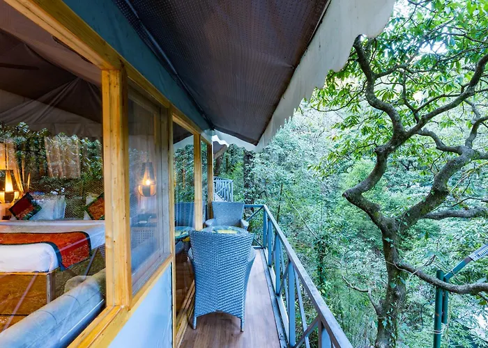 Ayar Jungle Resort Nainital
