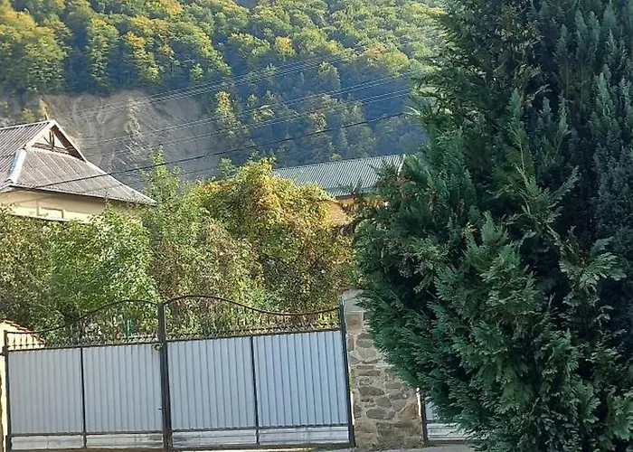 Zelena Sadyba Bila Stavka Yaremche