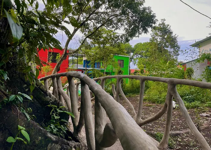 Carey Lodging Tortuguero